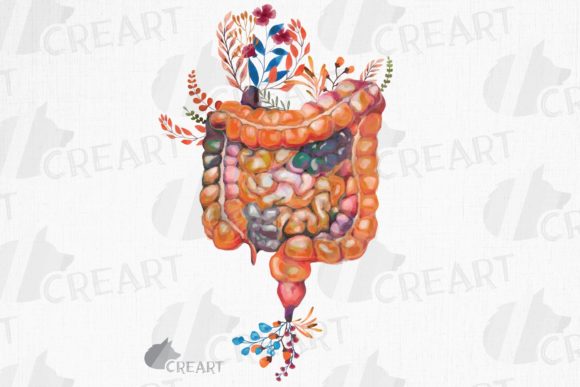 Human Anatomy Floral Intestine Decor Art: Bridging Science and Nature in Modern Design